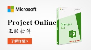  Project Online