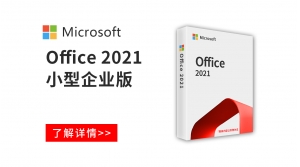  Office 2021 小型企业版
