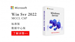  Windows Server 2022 MCCL CSP